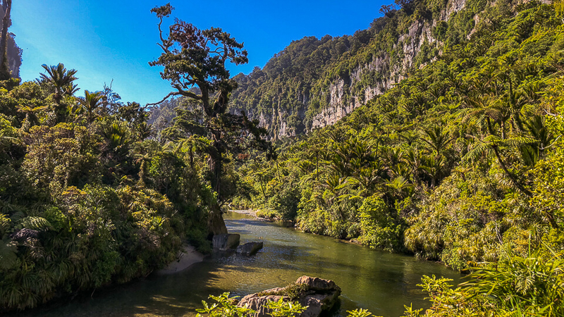 Paparoa National Park