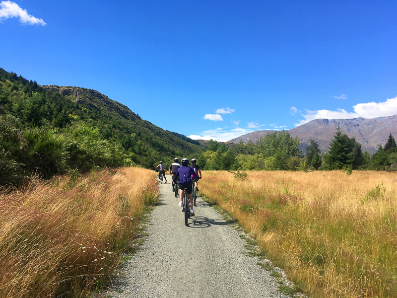 3 biking queenstown trail new zealand2