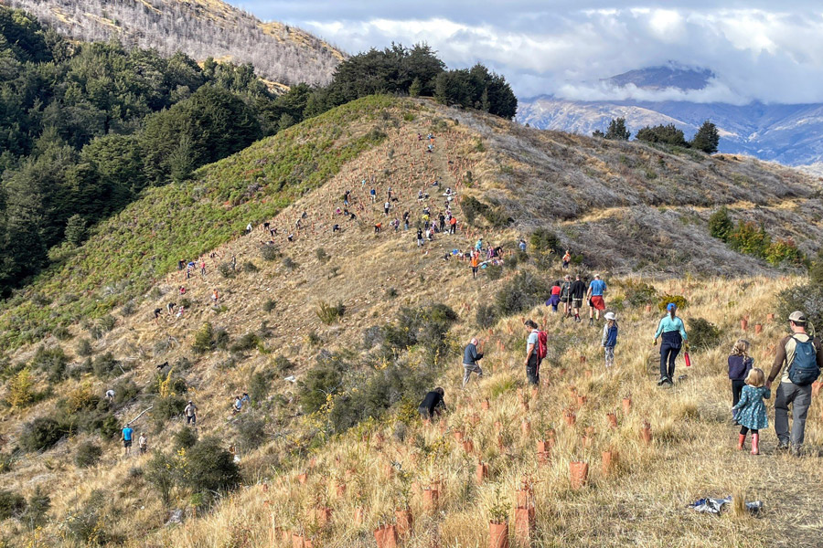 Arrowtown choppers sawpit