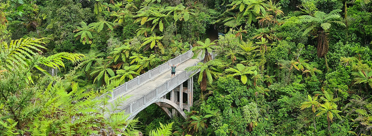 Bridge to Nowhere6