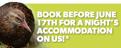 Early Bird 2025 CTA 17 June