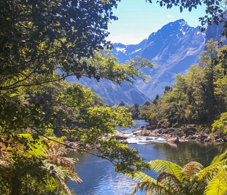 New Zealand Great Walk - Milford Track