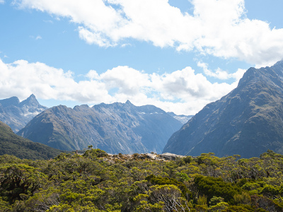 New Zealand National Parks