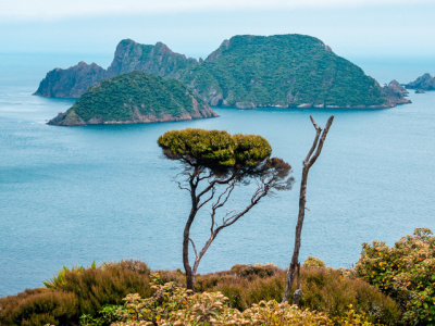 Stewart Island Rakiura Views