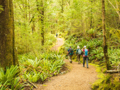 The Ultimate Guide to the Kepler Track