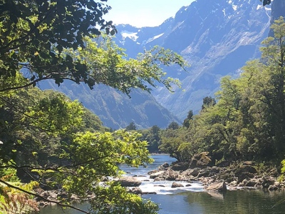 Great Walks New Zealand