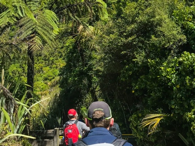 Top 10 lesser known walks of New Zealand