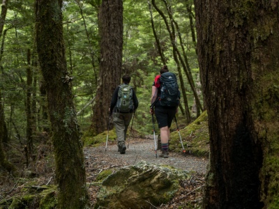 Routeburn walking track