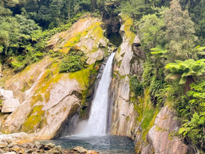 December on the Milford Track