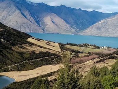 Mt Crichton Loop Track