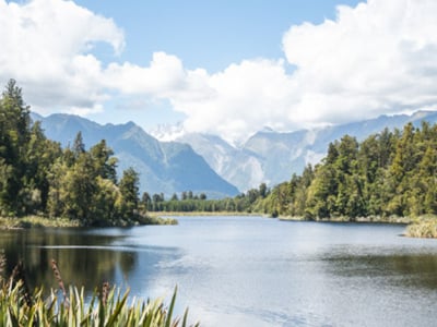 NZ Best Books