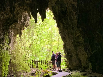 Waitomo Caves