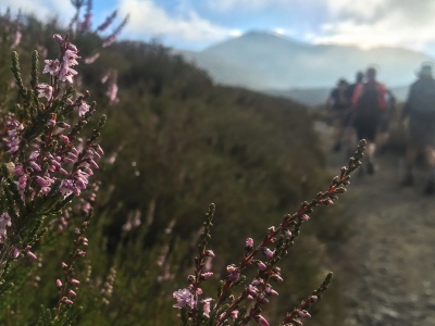 Spring in New Zealand