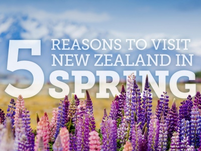 spring in new zealand3