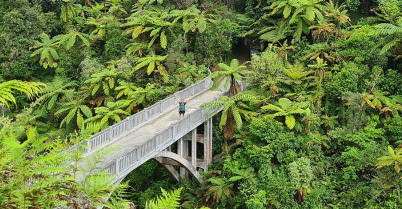 Bridge to Nowhere3