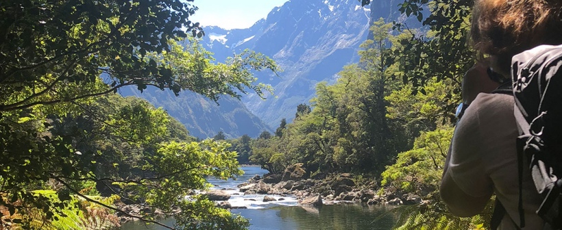 Great Walks New Zealand