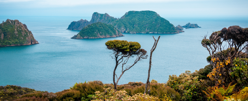 Stewart Island Rakiura Views