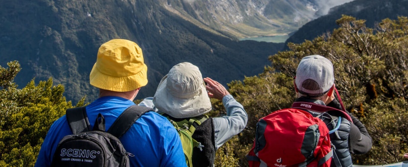 View on the Routeburn Track New Zealand