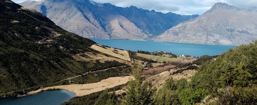 Mt Crichton Loop Track