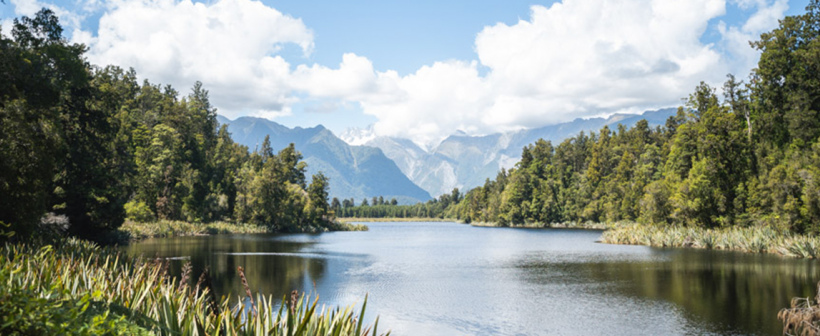 NZ Best Books