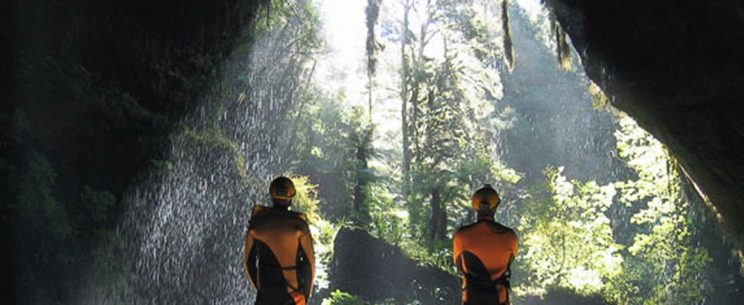 Nile River Glowworm Caves