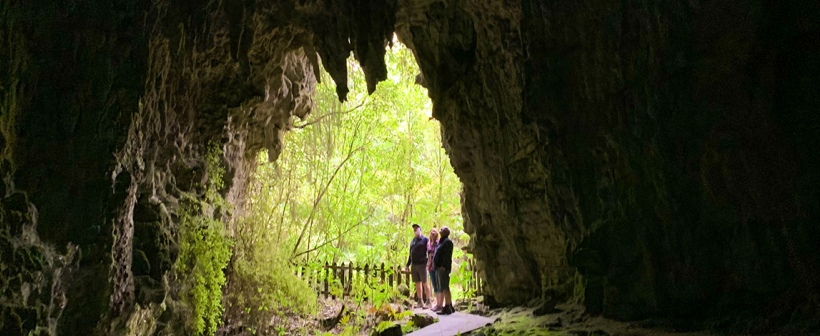 Waitomo Caves