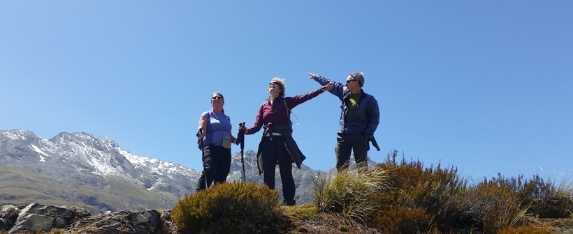 Routeburn Track Summit