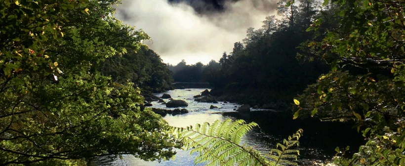 Milford Track view spot