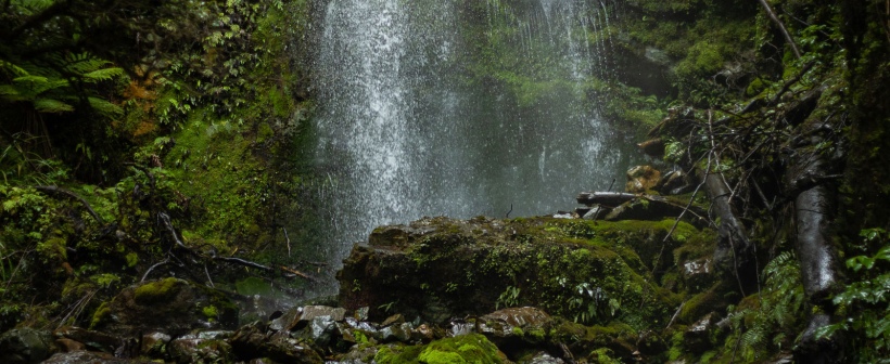 Hollyford Track waterfalls