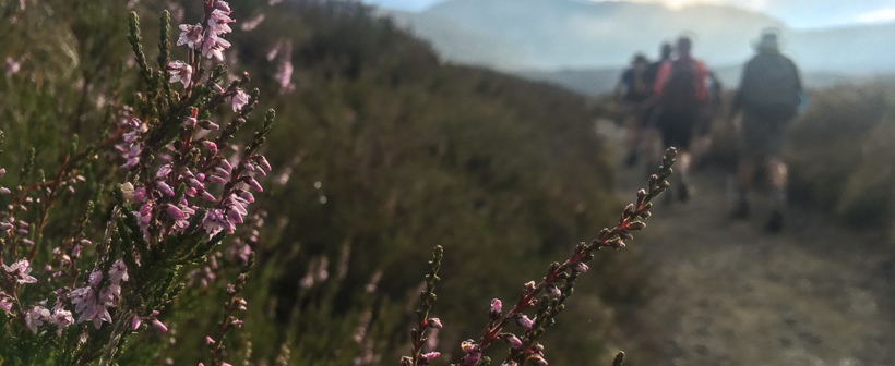 Spring in New Zealand