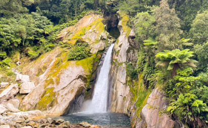 December on the Milford Track