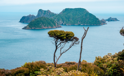 Stewart Island Rakiura Views