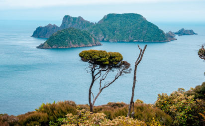 Stewart Island Rakiura Views2