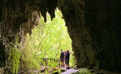 Waitomo Caves