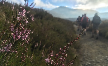 Spring in New Zealand