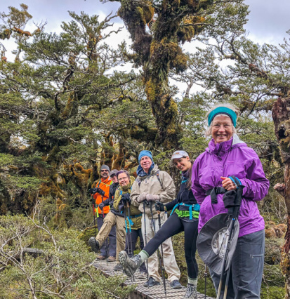 2 key summit lookout trail fiordland nz2