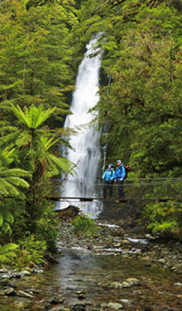 new zealand great walk adventure2