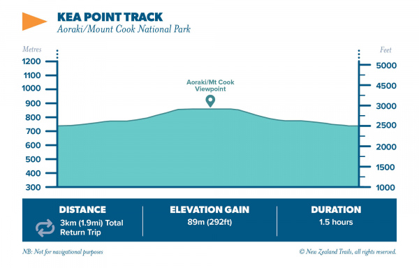 Kea Point track 3