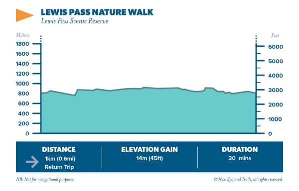 Lewis Pass