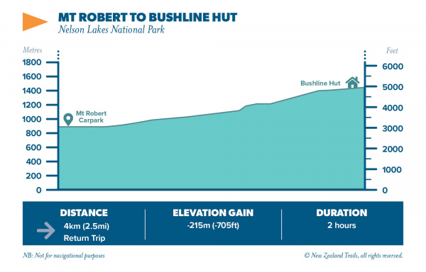 MT ROBERT to BUSHLINE HUT 