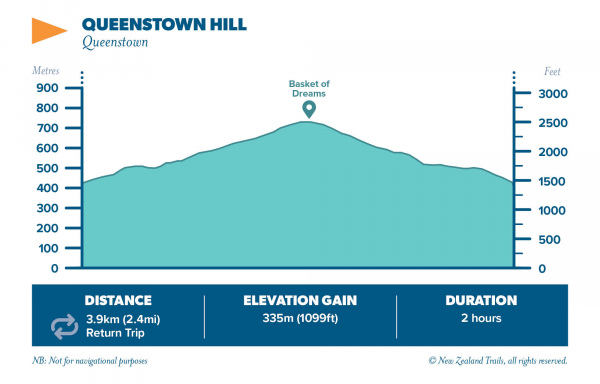 Queenstown Hill2