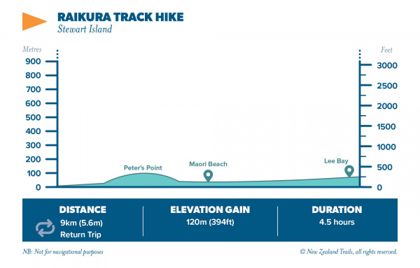 RAIKURA TRACK HIKE 