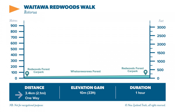 WAITAWA REDWOODS WALK