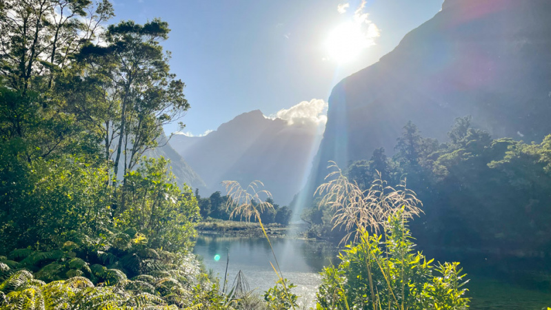 December sunshine on the Milford Track.