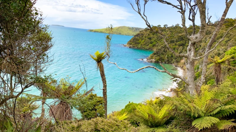 4. Rakiura bay views copy