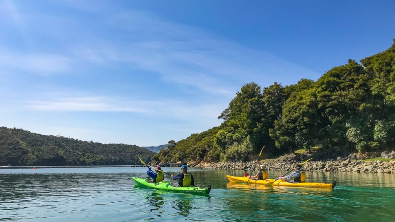 Kayaking Lochmara