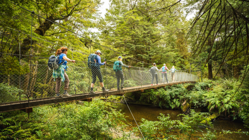 Kepler Track bridge crossing