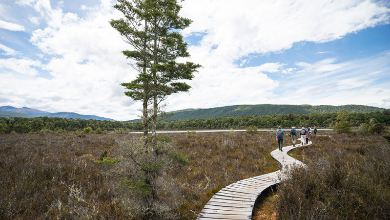 Kepler Track in November wetland boardwalk