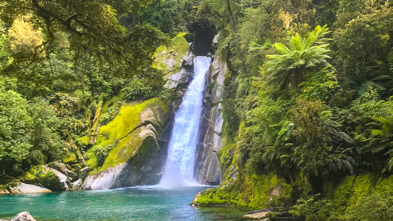 Milford Track Day Walks Giants Gate Falls