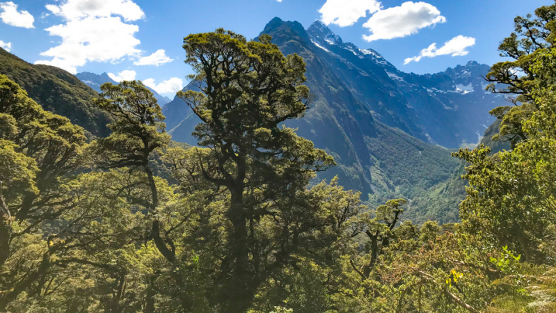 Milford Track mountains